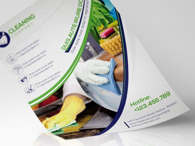 农副产品绿色有机食品海报传单模板素材下载cleaningcompanyflyer